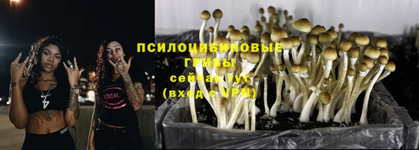 дмт Бугульма