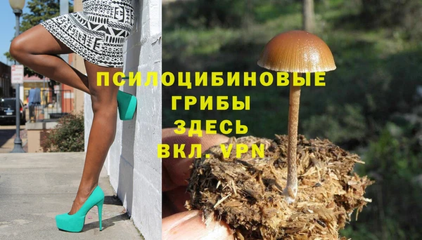 дмт Бугульма
