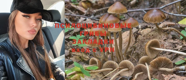 spice Бронницы