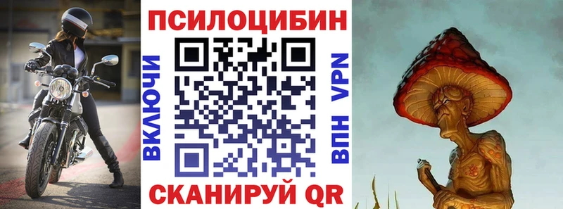 Псилоцибиновые грибы Cubensis  Тбилисская 