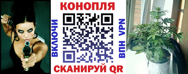 купить наркотики сайты  Тбилисская  МАРИХУАНА план 
